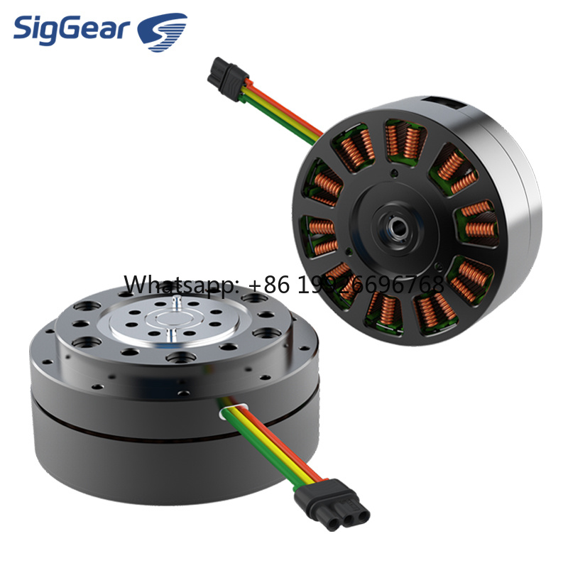 Cycloidal Reducer Bldc Motor - Индивидуальный микро-редукторный двигатель постоянного тока 36В