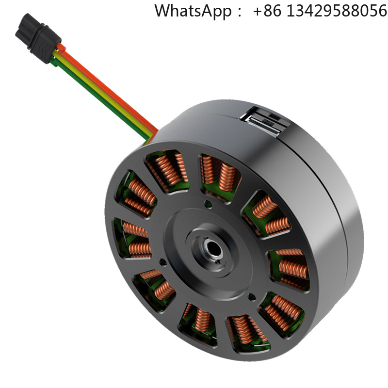 Cycloidal Reducer Bldc Motor - Индивидуальный микро-двигатель постоянного тока 36 В